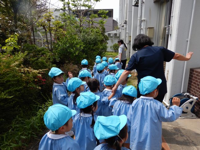 冒険気分の年少組の子どもたち。