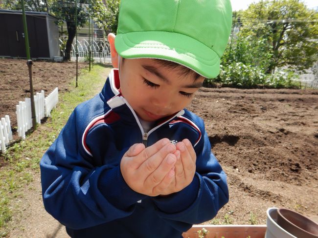 手のひらの中にいるダンゴムシを見つめる子ども。