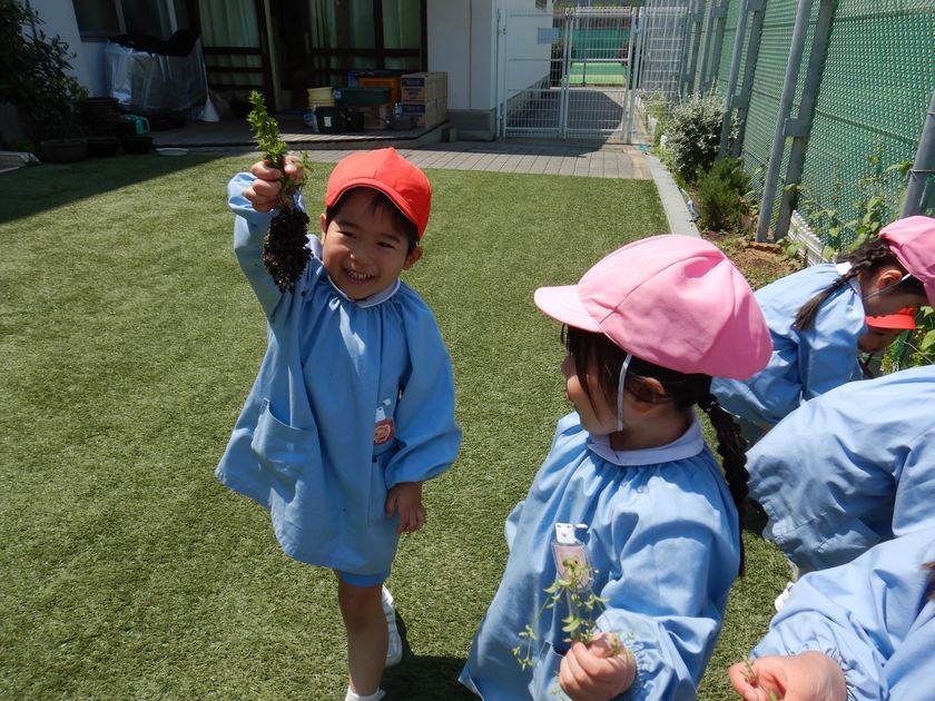 雑草抜きを手伝う子ども