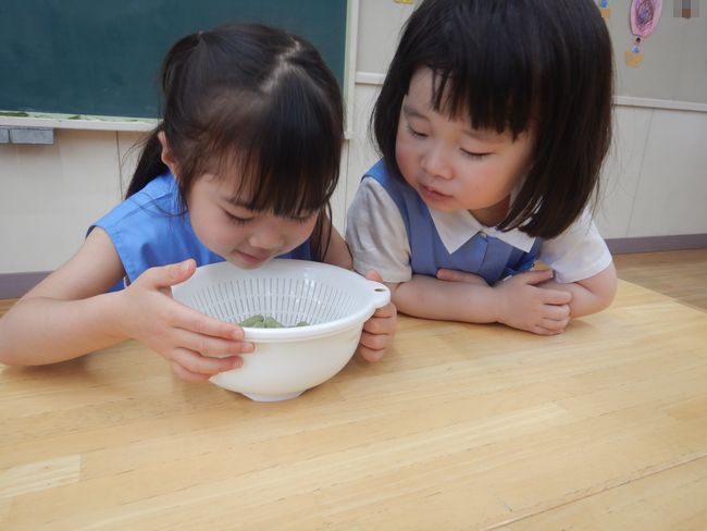 美味しそうなそらまめ