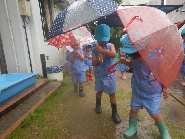 雨の散歩