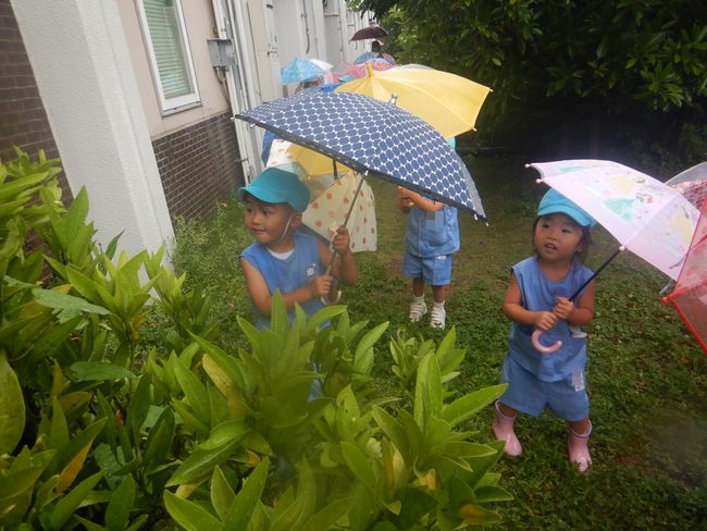 雨の散歩