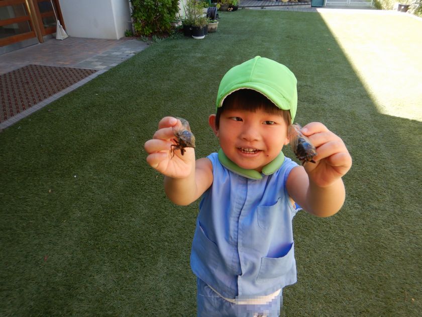 セミを見つけ、紹介する園児