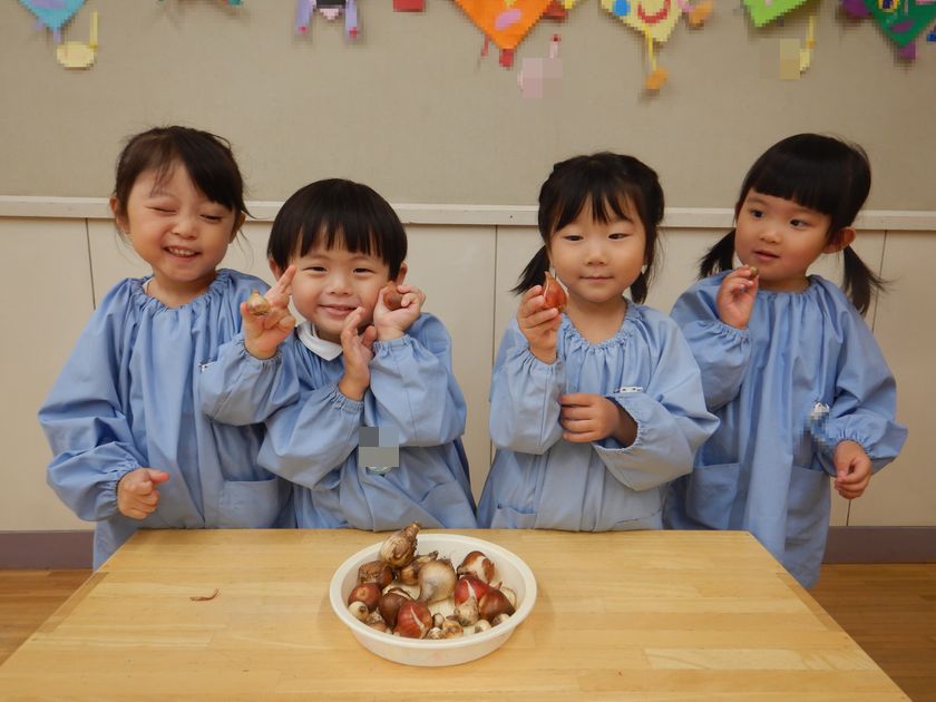 球根を観察する園児