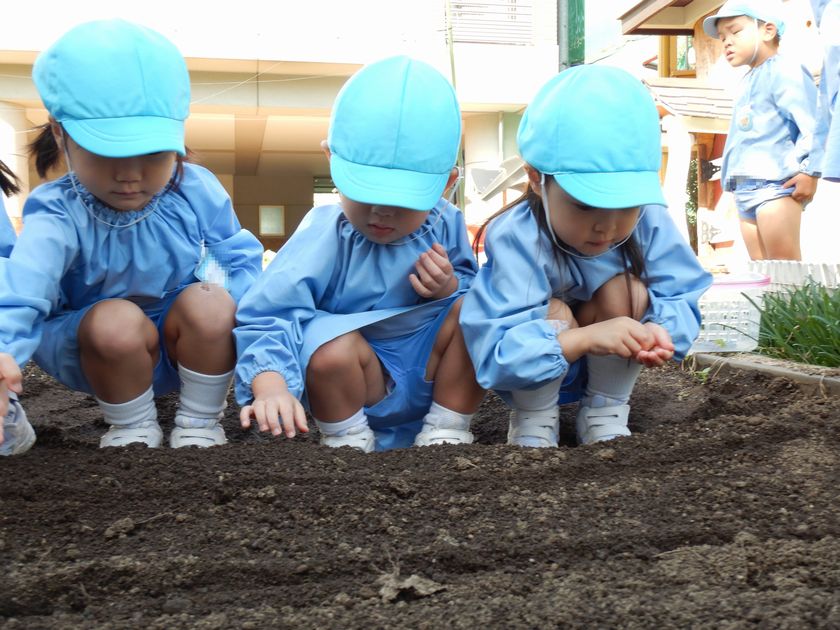 種まきをする園児