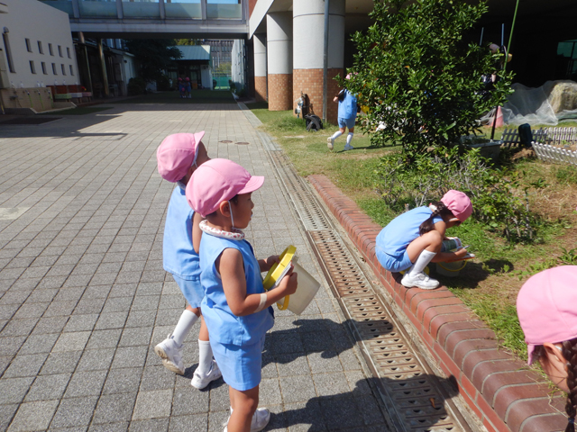 虫探しをしている子ども