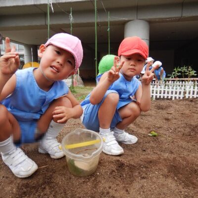 いもほりのつづき