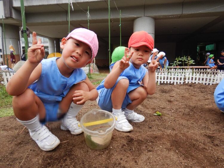 いもほりのつづき