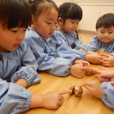球根を観察する園児