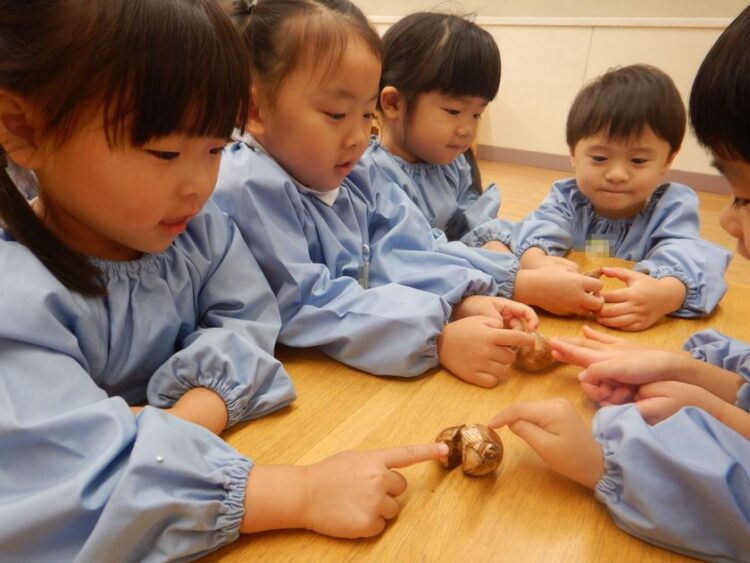 球根を観察する園児