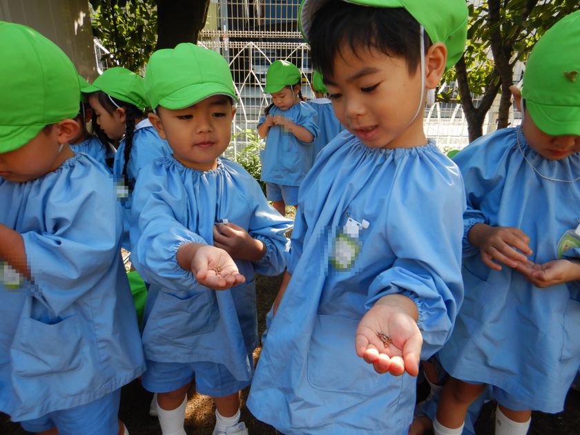 種まきをする園児