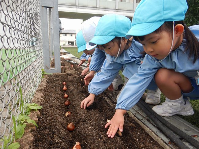 球根を植える子ども