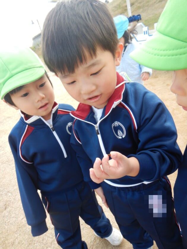 てんとうむしを見つけた