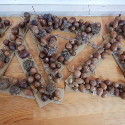 どんぐり制作を行う園児