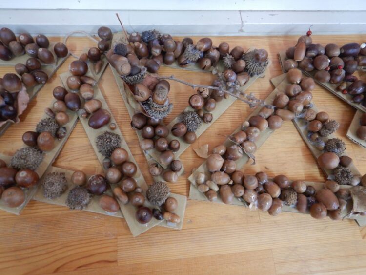 どんぐり制作を行う園児