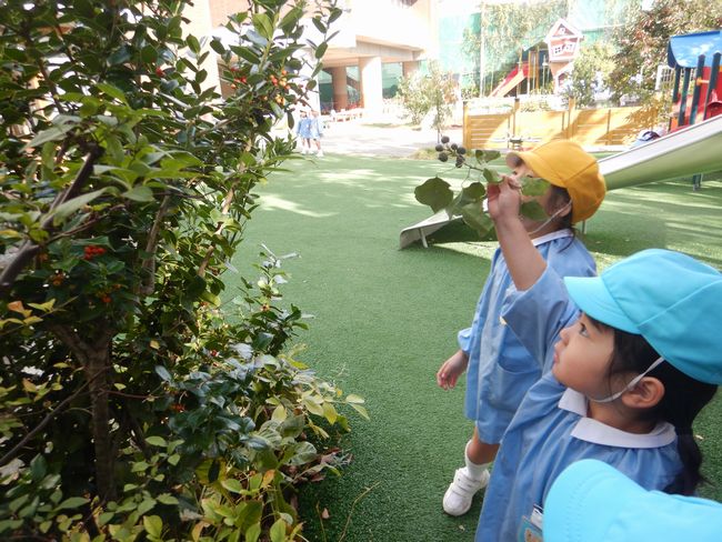 秋を楽しむ年少組