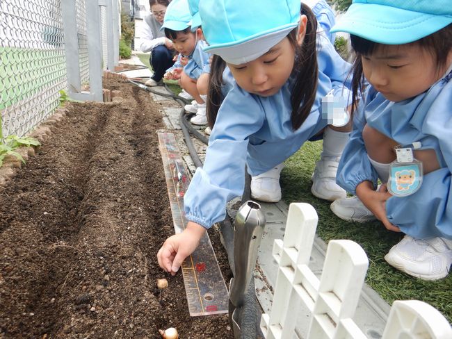 球根を植える子ども