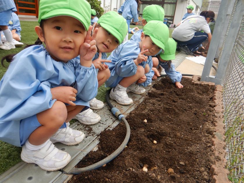 球根を植える子ども