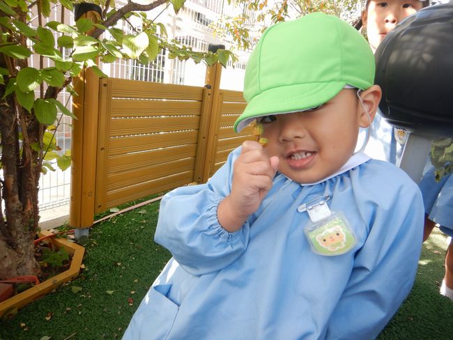 秋を楽しむ年少組