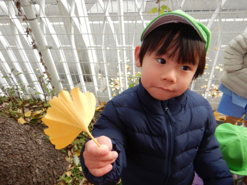 いちょう遊びする子ども達