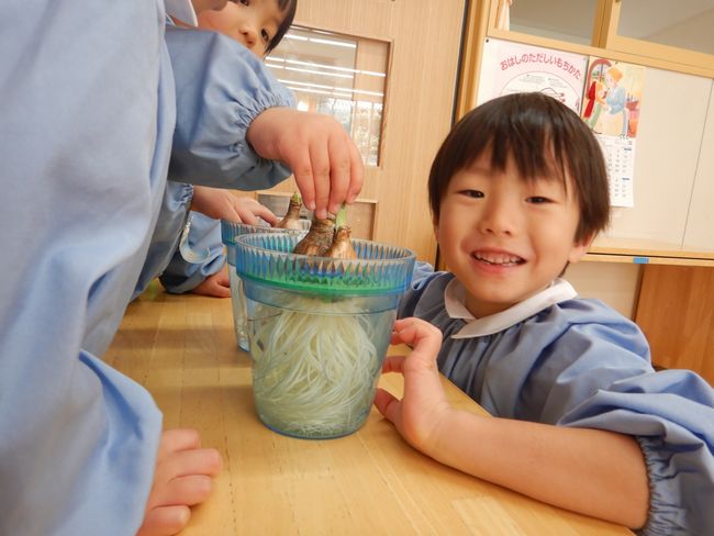 スイセンの芽が出てきました