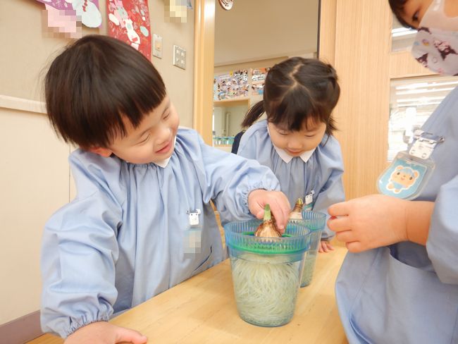 スイセンの芽が出てきました