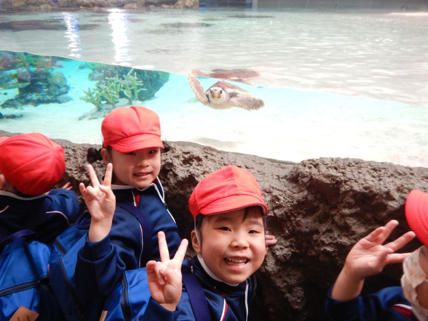 須磨シーワールド