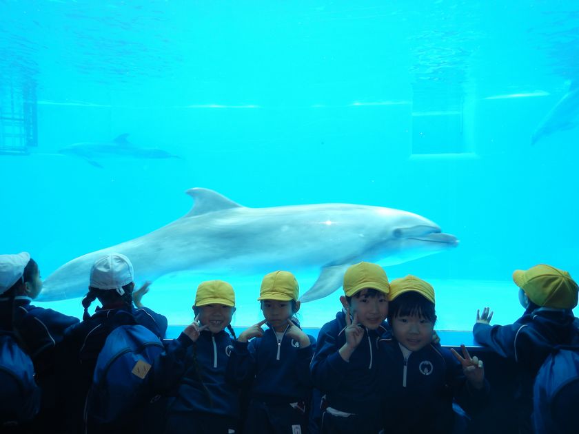 須磨シーワールド