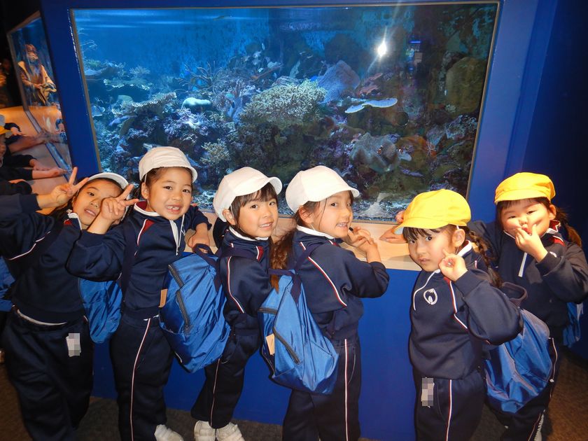 須磨シーワールド