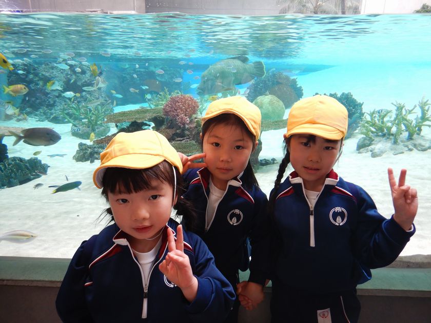 須磨シーワールド