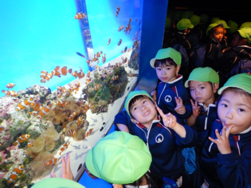 須磨シーワールド