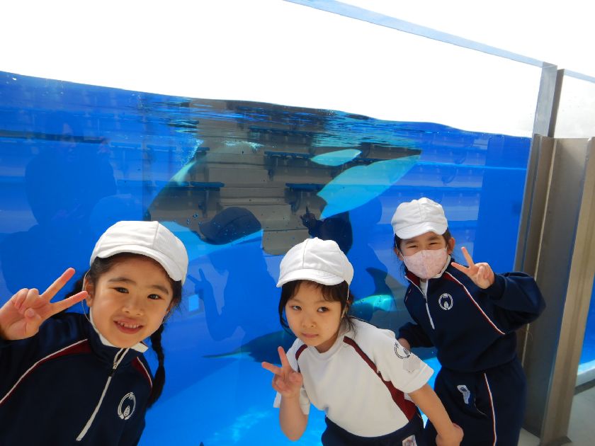 須磨シーワールド