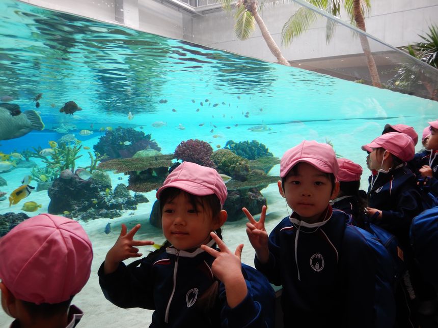 須磨シーワールド