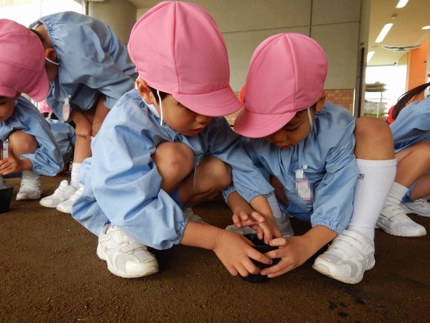 大豆プロジェクトを行う園児