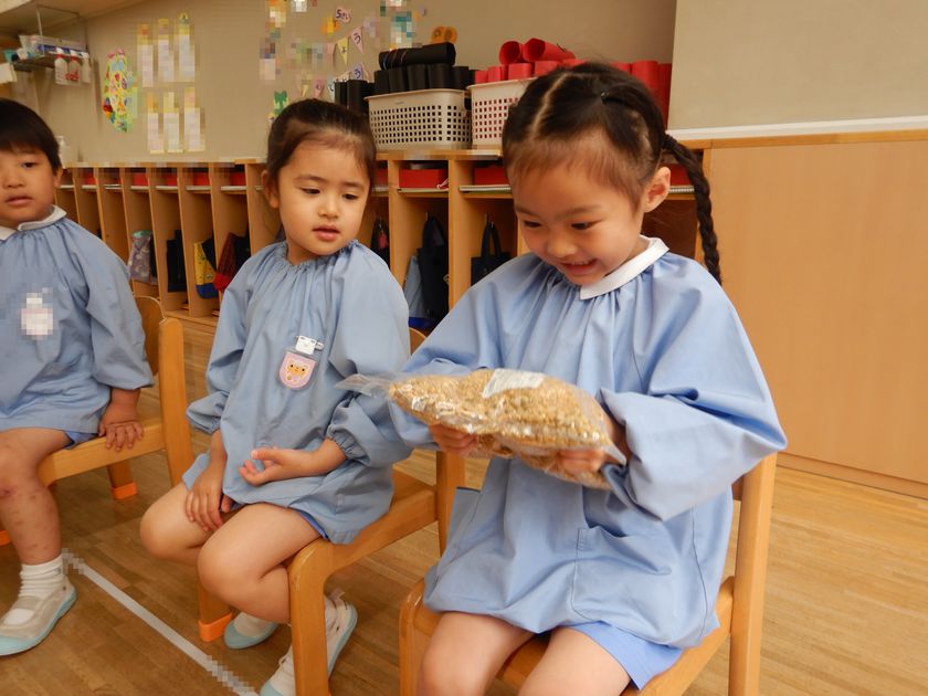 大豆プロジェクトを行う園児