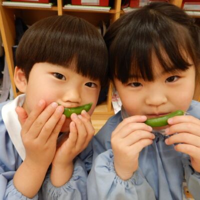 スナップエンドウ食べたよ