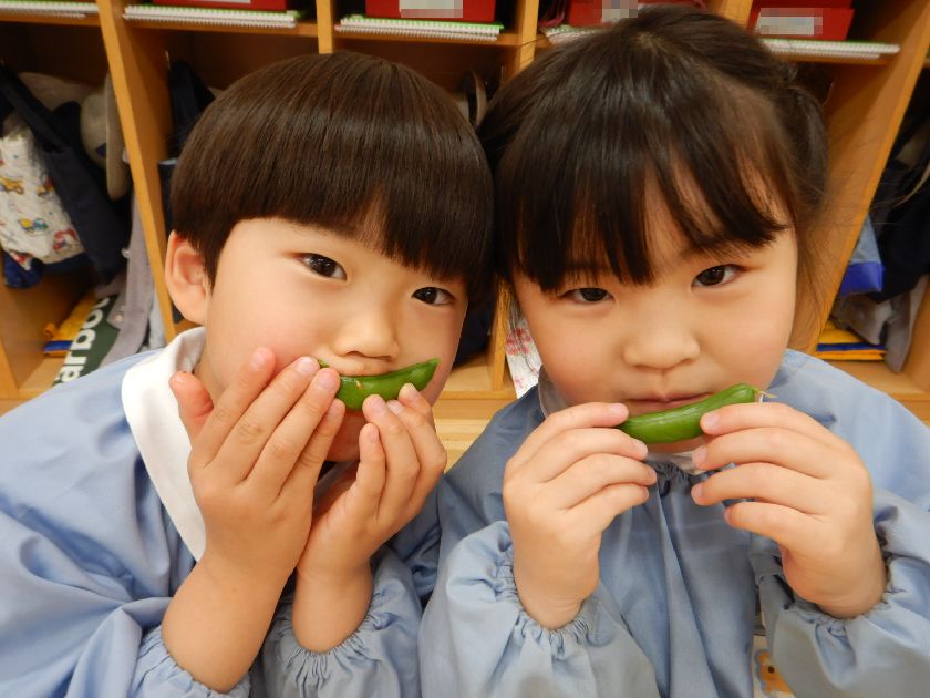 スナップエンドウ食べたよ