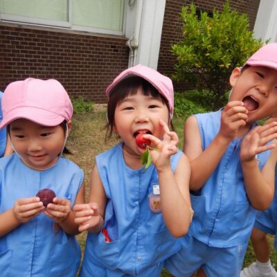 様々な遊びをする園児