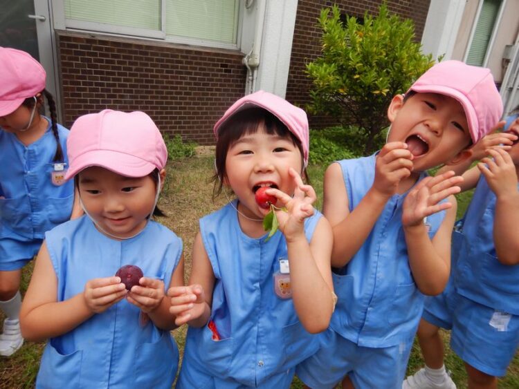 様々な遊びをする園児