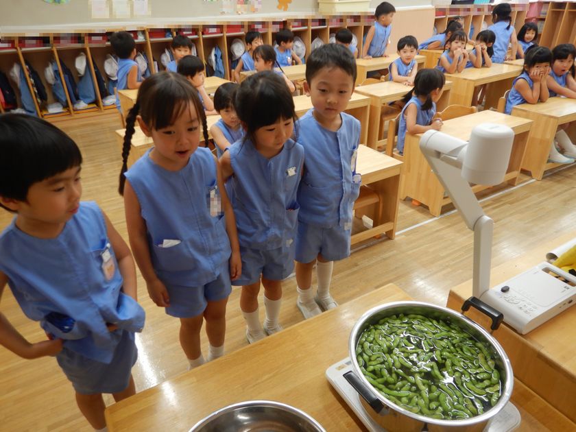 枝豆をゆでる園児