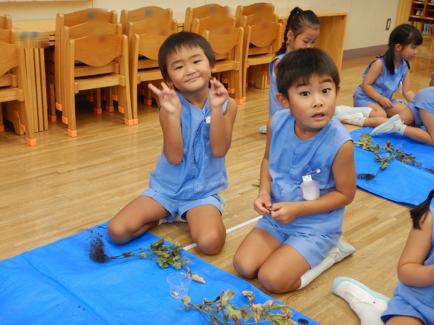 大豆を脱穀する園児