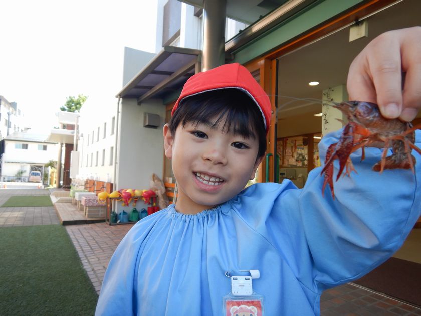 ザリガニ釣りをする園児